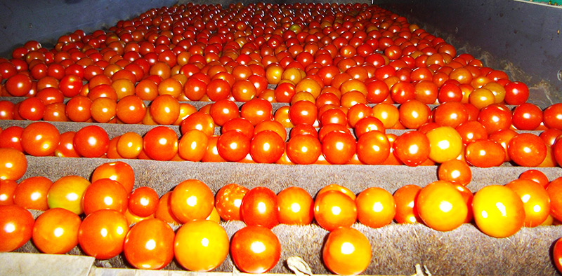 Implantación de sistema de gestión de la inocuidad de los alimentos según BRC, IFS y FSSC 22000